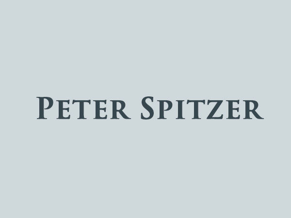 Dipl.-Ing. Peter Spitzer Zivilingenieur für Bauwesen